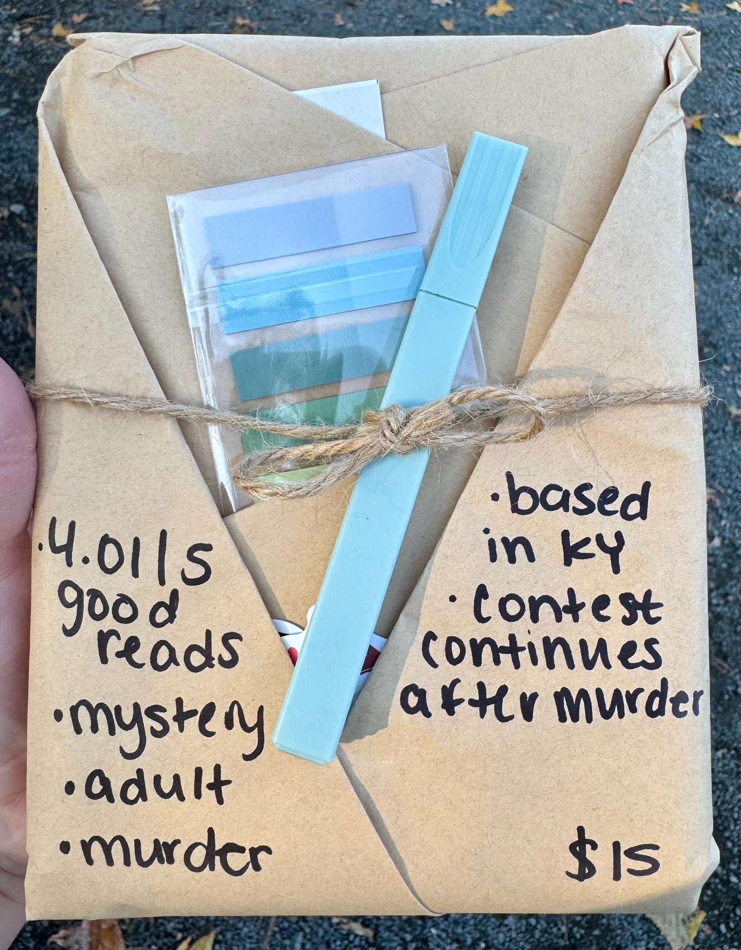 Blind Date with a Book - Mystery, Adult