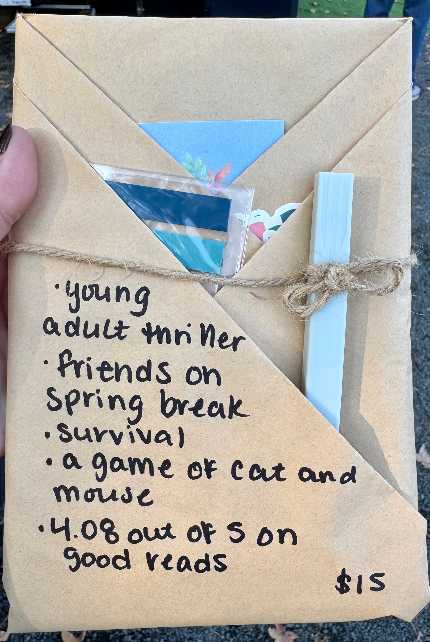 Blind Date with a Book - Young Adult Thriller